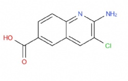 2-amino-3-chloroquinoline-6-carboxylic acid