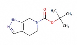 tert-butyl 1,4,5,7-tetrahydro-6H-pyrazolo[3,4-c]pyridine-6-carboxylate