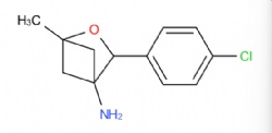 3-(4-chlorophenyl)-1-methyl-2-oxabicyclo[2.1.1]hexan-4-amine