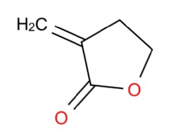 alpha-Methylene butyrolactone