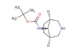 tert-butyl ((1R,5S,8s)-3-azabicyclo[3.2.1]octan-8-yl)carbamate