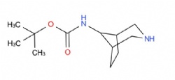 tert-Butyl 3-azabicyclo[3.2.1]octan-8-ylcarbamate