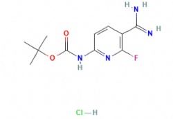 tert-butyl N-(5-carbamimidoyl-6-fluoropyridin-2-yl)carbamate hydrochloride