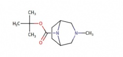 tert-butyl 3-methyl-3,8-diazabicyclo[3.2.1]octane-8-carboxylate