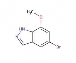 5-bromo-7-methoxy-1H-indazole