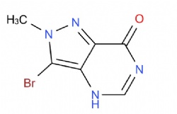 3-bromo-2-methyl-2,4-dihydro-7H-pyrazolo[4,3-d]pyrimidin-7-one