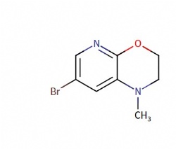 7-bromo-1-methyl-2,3-dihydro-1H-pyrido[2,3-b][1,4]oxazine