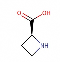 (S)-Azetidine-2-carboxylic acid