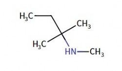 Methyl(2-methylbutan-2-yl)amine