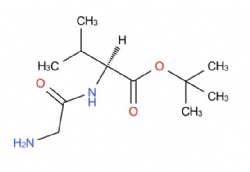 tert-butyl glycyl-L-valinate