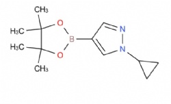 1-cyclopropyl-4-(4,4,5,5-tetramethyl-1,3,2-dioxaborolan-2-yl)-1H-pyrazole