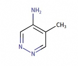 5-Methylpyridazin-4-amine