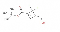 tert-butyl 2,2-difluoro-3-(hydroxymethyl)bicyclo[1.1.1]pentane-1-carboxylate