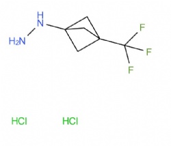[3-(trifluoromethyl)bicyclo[1.1.1]pentan-1-yl]hydrazine dihydrochloride