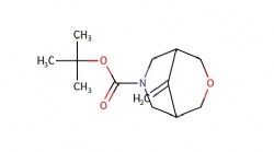 tert-butyl 9-methylene-3-oxa-7-azabicyclo[3.3.1]nonane-7-carboxylate