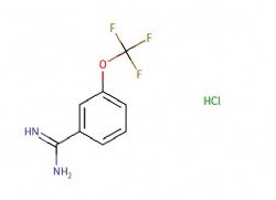 3-(trifluoromethoxy)benzimidamide hydrochloride