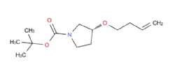 tert-Butyl (R)-3-(but-3-en-1-yloxy)pyrrolidine-1-carboxylate