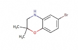 6-bromo-2,2-dimethyl-3,4-dihydro-2H-benzo[b][1,4]oxazine