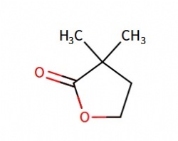 2,2-Dimethyl-4-butyrolactone