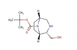 tert-butyl (1S,2S,5R)-2-(hydroxymethyl)-3,8-diazabicyclo[3.2.1]octane-8-carboxylate