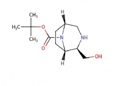 tert-butyl (1S,2R,5R)-2-(hydroxymethyl)-3,8-diazabicyclo[3.2.1]octane-8-carboxylate