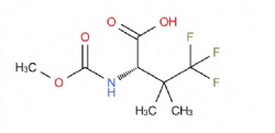 (S)-4,4,4-trifluoro-2-((methoxycarbonyl)amino)-3,3-dimethylbutanoic acid