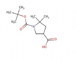 1-(tert-butoxycarbonyl)-5,5-dimethylpyrrolidine-3-carboxylic acid