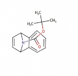 tert-butyl 1,4-dihydro-1,4-epiminonaphthalene-9-carboxylate
