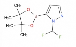1-(difluoromethyl)-5-(4,4,5,5-tetramethyl-1,3,2-dioxaborolan-2-yl)-1H-pyrazole