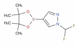 1-(difluoromethyl)-4-(4,4,5,5-tetramethyl-1,3,2-dioxaborolan-2-yl)-1H-pyrazole