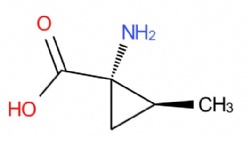 (+)-(1S,2S)-norcoronamic acid
