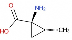 (1R,2R)-1-Amino-2-methylcyclopropanecarboxylic acid