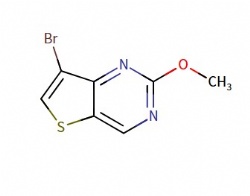 7-bromo-2-methoxythieno[3,2-d]pyrimidine