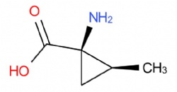(1R,2S)-1-Amino-2-methylcyclopropanecarboxylic acid