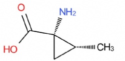 (1S,2R)-1-amino-2-methylcyclopropane-1-carboxylic acid