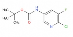 tert-butyl N-(6-chloro-5-fluoropyridin-3-yl)carbamate