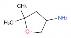 5,5-Dimethyloxolan-3-amine