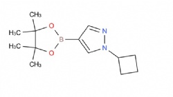 1-cyclobutyl-4-(4,4,5,5-tetramethyl-1,3,2-dioxaborolan-2-yl)-1H-pyrazole