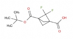 3-(tert-butoxycarbonyl)-2,2-difluorobicyclo[1.1.1]pentane-1-carboxylic acid