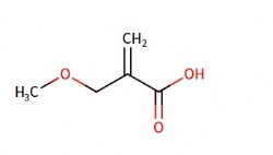 2-(Methoxymethyl)prop-2-enoic acid