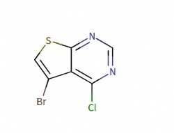 5-bromo-4-chlorothieno[2,3-d]pyrimidine
