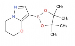 3-(4,4,5,5-Tetramethyl-1,3,2-dioxaborolan-2-yl)-6,7-dihydro-5h-pyrazolo[5,1-b][1,3]oxazine