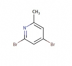 2,4-dibromo-6-methylpyridine