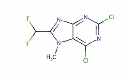 2,6-dichloro-8-(difluoromethyl)-7-methyl-7H-purine