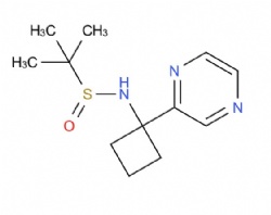 2-methyl-N-(1-(pyrazin-2-yl)cyclobutyl)propane-2-sulfinamide