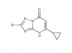 2-bromo-5-cyclopropyl-[1,2,4]triazolo[1,5-a]pyrimidin-7(4H)-one