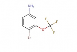 4-bromo-3-(trifluoromethoxy)aniline