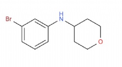 N-(3-bromophenyl)tetrahydro-2H-pyran-4-amine