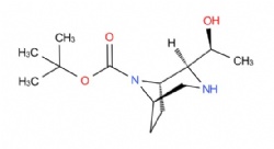 tert-butyl (1S,2S,5R)-2-((S)-1-hydroxyethyl)-3,8-diazabicyclo[3.2.1]octane-8-carboxylate