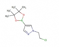 1-(2-chloroethyl)-4-(tetramethyl-1,3,2-dioxaborolan-2-yl)-1H-pyrazole